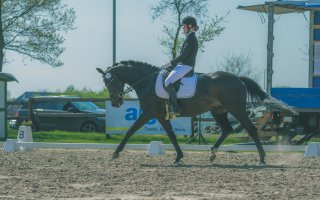 Reitturnier 2016