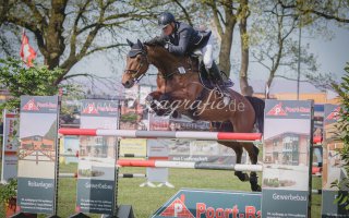  2017 Reitturnier
